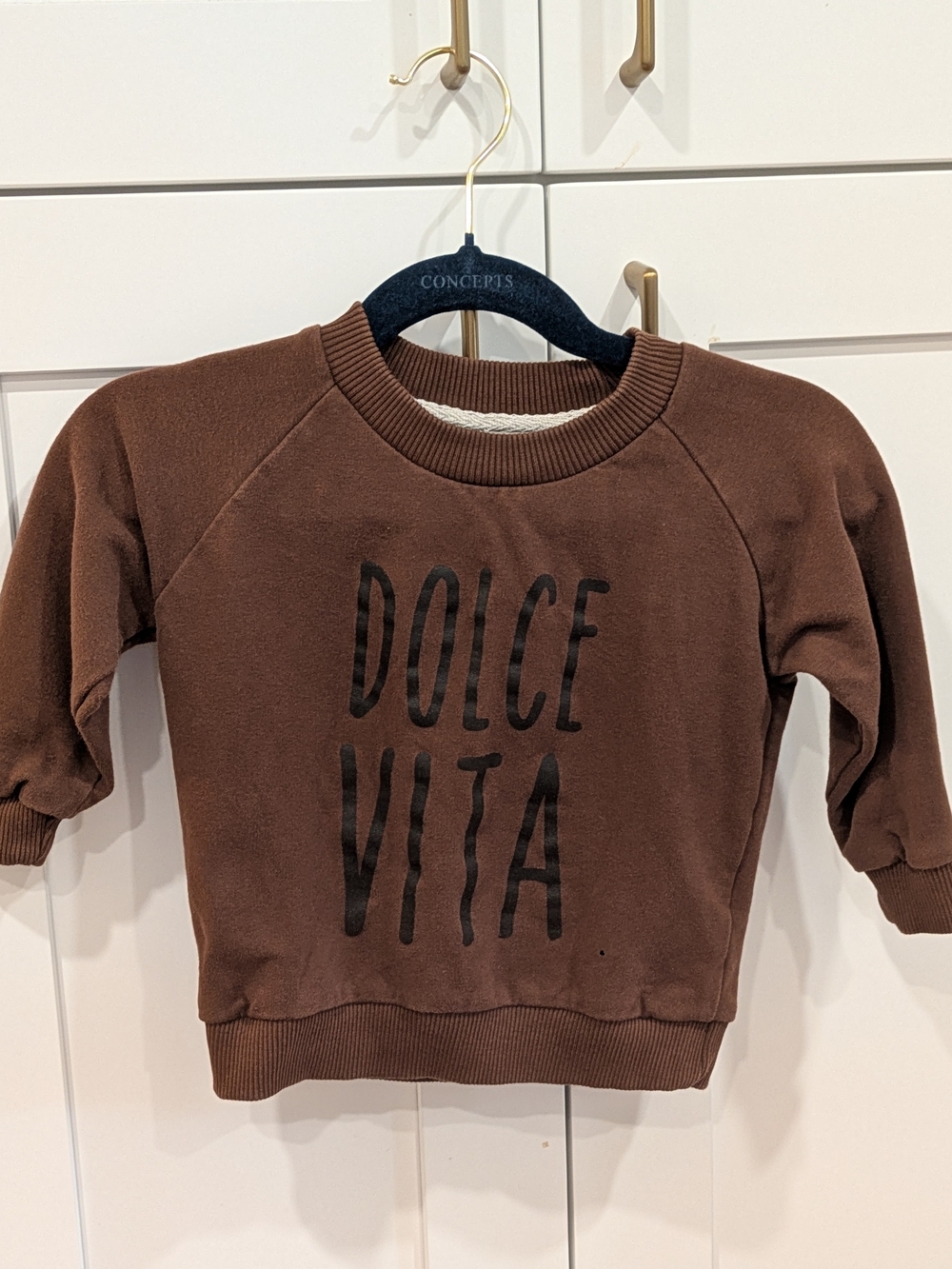 Plumkids Label - Dolce Vita Brown Kids Sweatshirt
